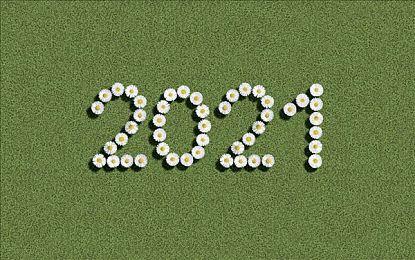 《迪士尼梦幻星谷》多人游戏将于12月推出